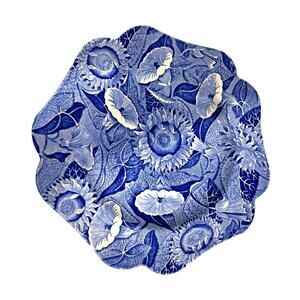 Vintage SPODE Blue Room Blue Room Sunflower First Introduced 1812